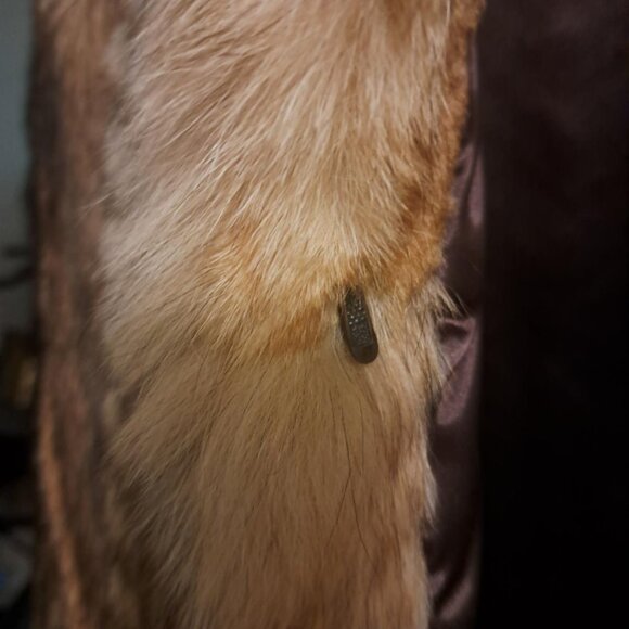 VINTAGE PADDOR'S COYOTE COAT SZ18 - Picture 7 of 9